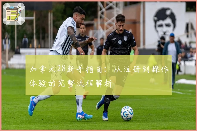 加拿大28新手指南:从注册到操作体验的完整流程解析