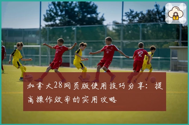 加拿大28网页版使用技巧分享：提高操作效率的实用攻略