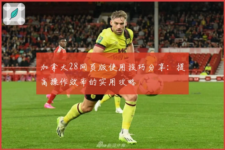 加拿大28网页版使用技巧分享：提高操作效率的实用攻略