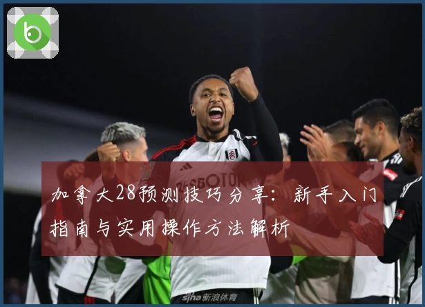 加拿大28预测技巧分享：新手入门指南与实用操作方法解析