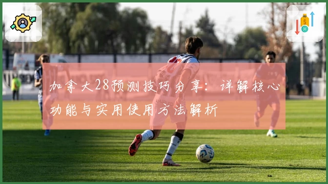 加拿大28预测技巧分享：详解核心功能与实用使用方法解析