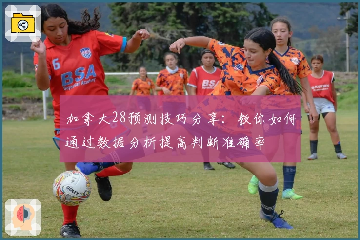 加拿大28预测技巧分享：教你如何通过数据分析提高判断准确率