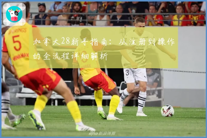 加拿大28新手指南：从注册到操作的全流程详细解析