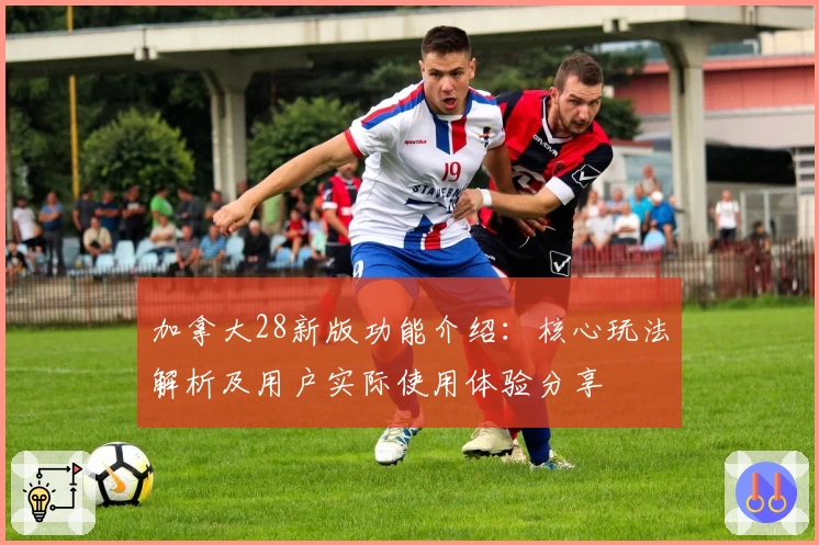 加拿大28新版功能介绍：核心玩法解析及用户实际使用体验分享