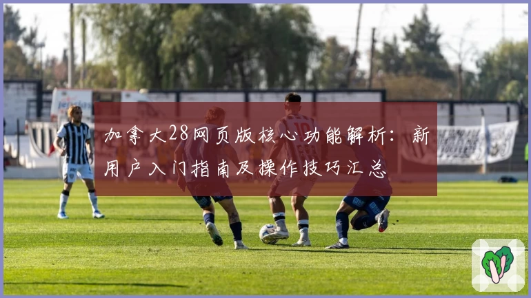 加拿大28网页版核心功能解析：新用户入门指南及操作技巧汇总