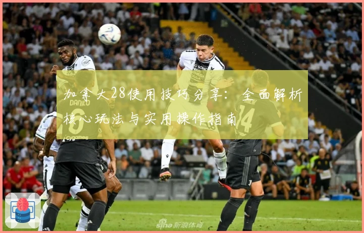 加拿大28使用技巧分享：全面解析核心玩法与实用操作指南