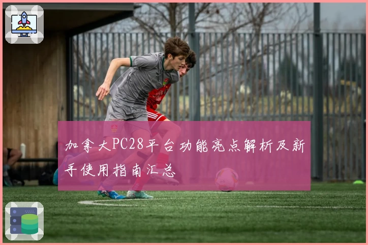加拿大PC28平台功能亮点解析及新手使用指南汇总