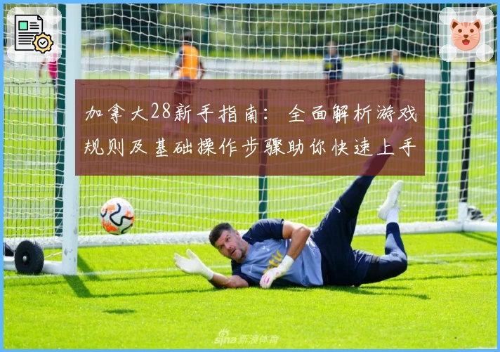 加拿大28新手指南：全面解析游戏规则及基础操作步骤助你快速上手