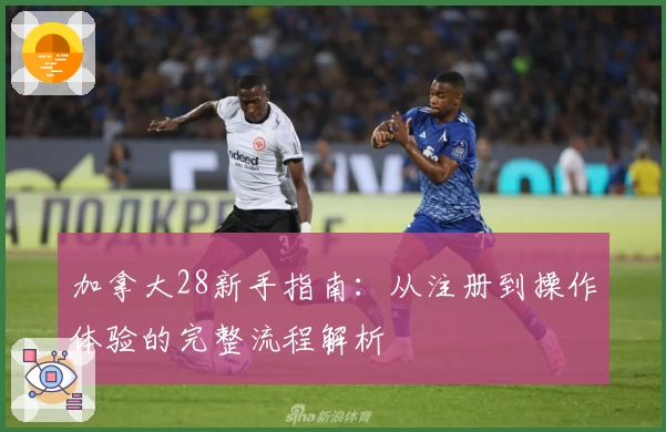 加拿大28新手指南：从注册到操作体验的完整流程解析