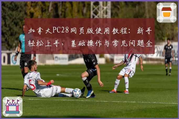 加拿大PC28网页版使用教程：新手轻松上手，基础操作与常见问题全面解析